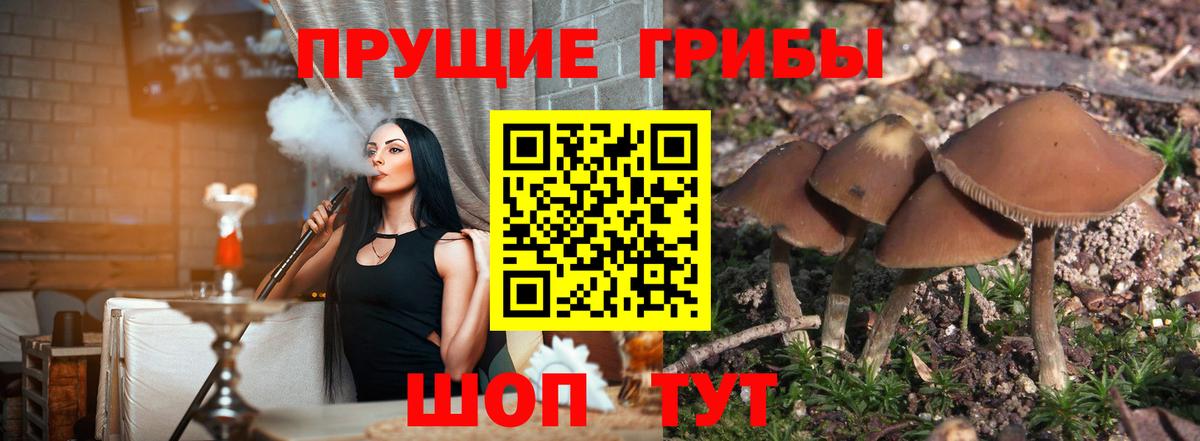 Галлюциногенные грибы Magic Shrooms  Галлюциногенные грибы GOLDEN TEACHER  Вход с VPN  Воркута 